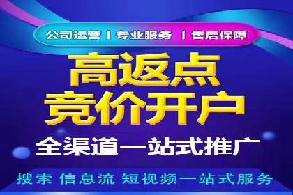 深入了解SEM代运营服务公司的策略与技巧